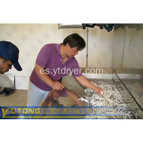 Línea de producción de secadora secadora de coco desecado